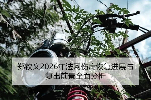 郑钦文2026年法网伤病恢复进展与复出前景全面分析